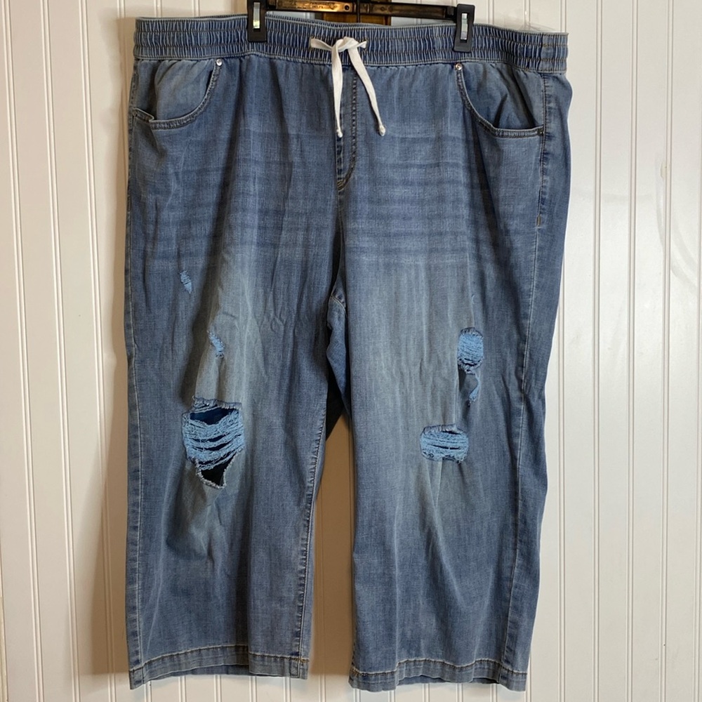 New Lane Bryant Plus distressed Jeans Size 28 without tags never worn cute!